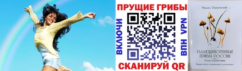 Псилоцибиновые грибы Psilocybe  omg рабочий сайт  Лысково  купить  